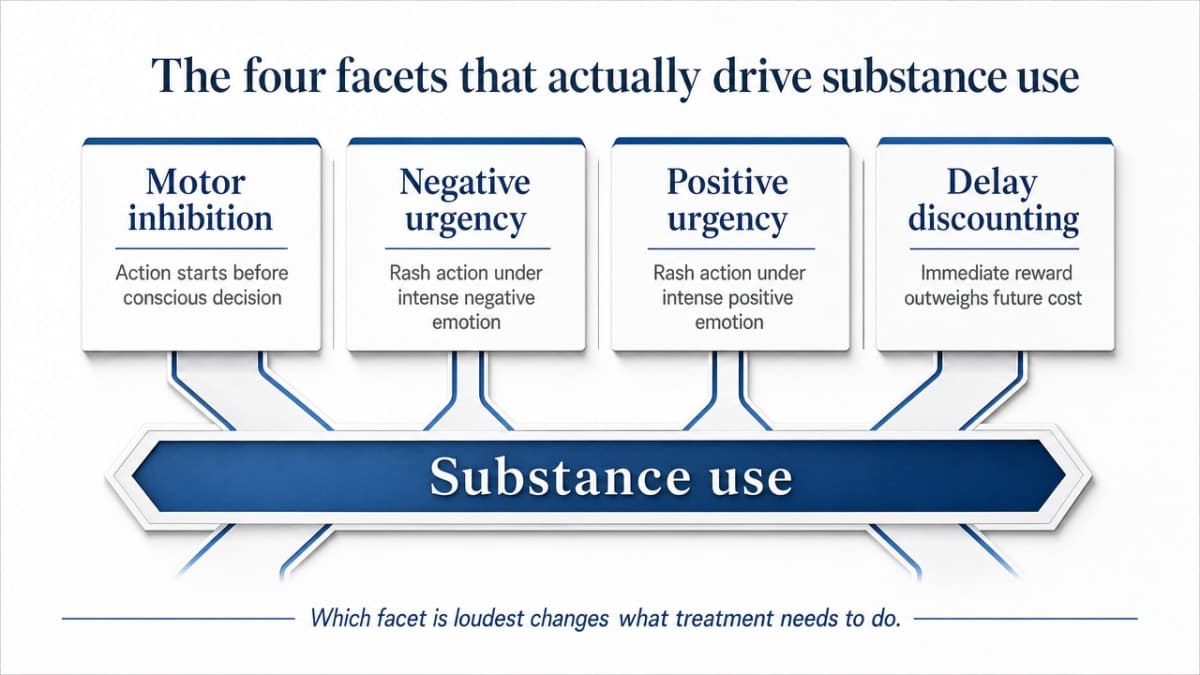 Visualize the four distinct facets of impulsivity described in the section, giving readers a memorable framework for identifying which pattern drives their relapses