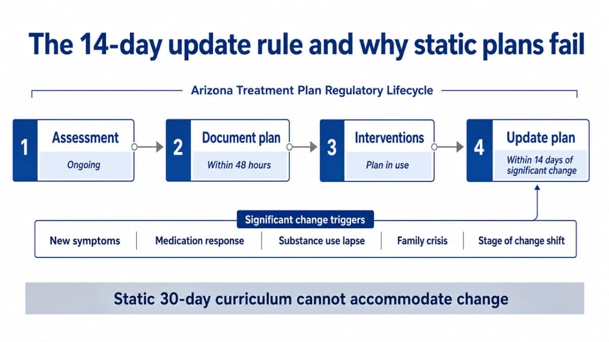 Visualize the regulatory lifecycle of an Arizona treatment plan as cited in this section: assessment, 48-hour documentation, ongoing intervention, and 14-day update trigger