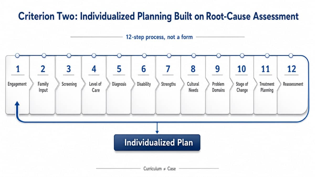 Visualize SAMHSA's cited 12-step assessment process for co-occurring disorders, which the section describes but does not diagram