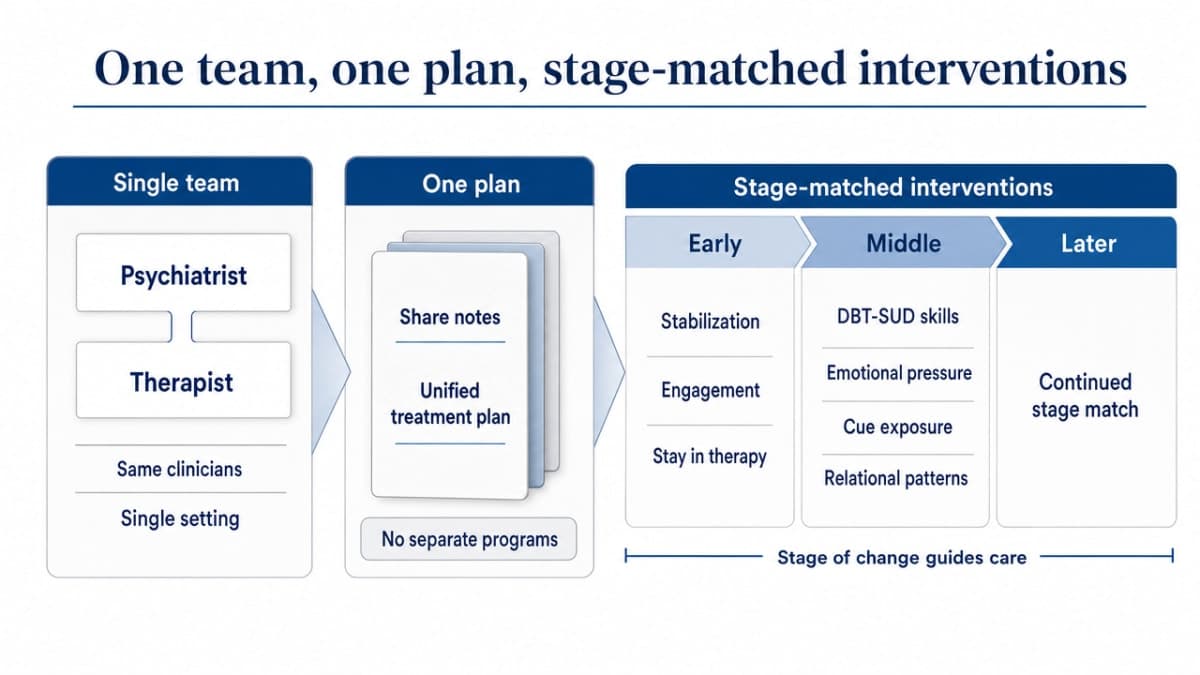 Visualize the stage-matched integrated care operating model described in the section, showing the single-team structure and progression of interventions across treatment stages