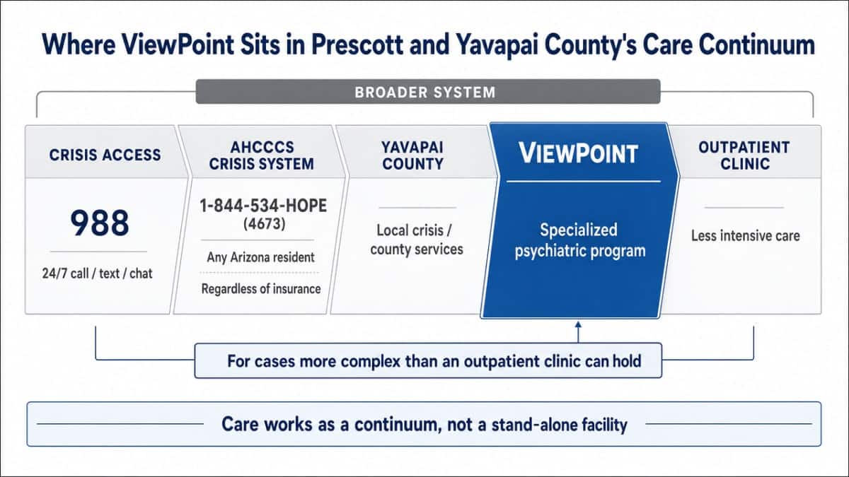 Map the local care continuum the section explicitly describes, including named crisis lines and service layers, so readers can orient the specialized layer within the broader system