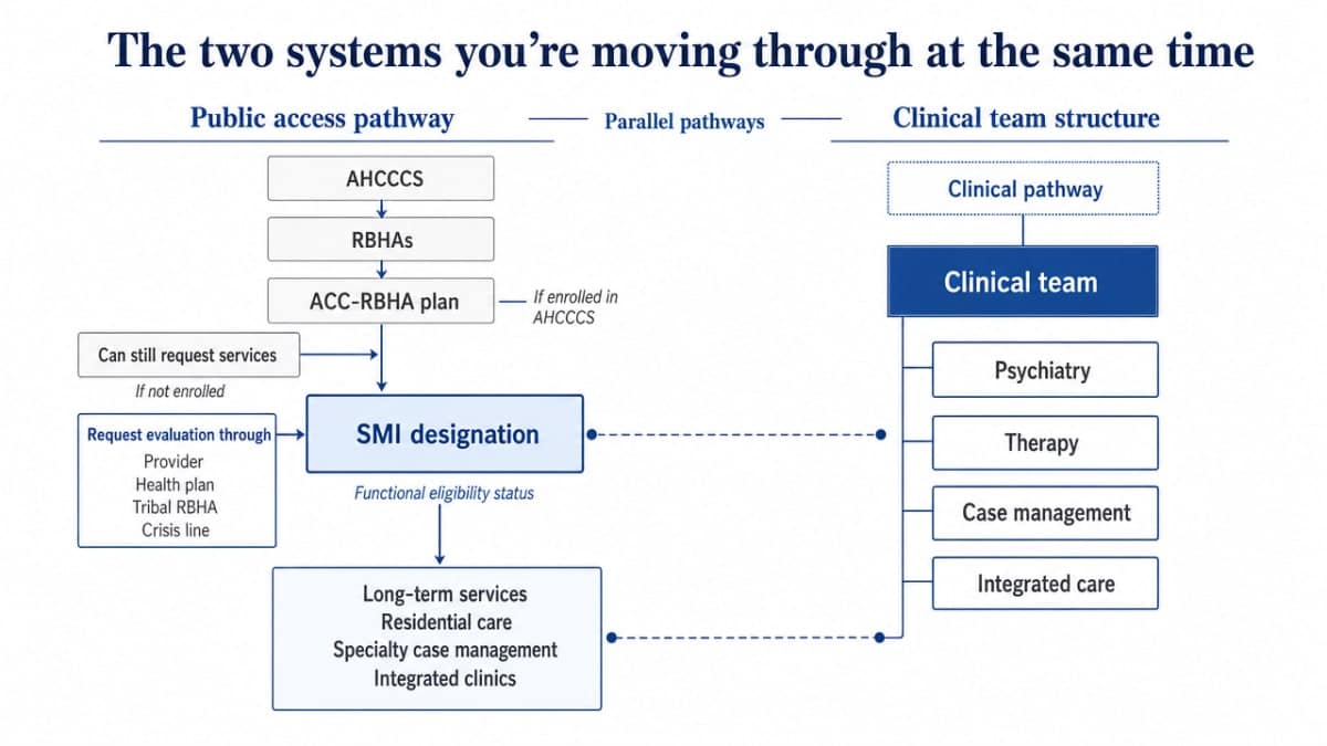 Visualize the parallel public-access and clinical pathways described in this section, including the SMI designation gateway and the clinical team structure